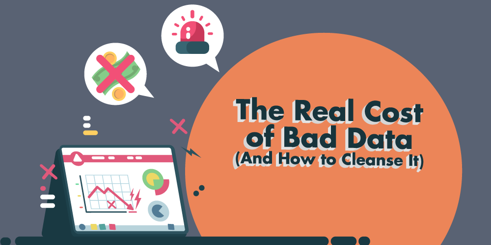 The Real Cost of Bad Data And How to Cleanse It Banner