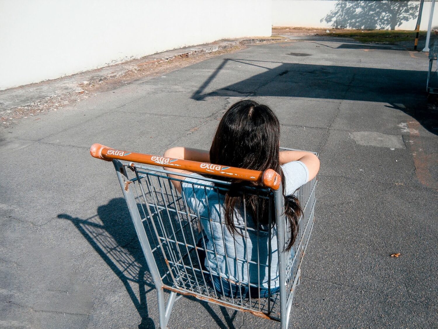 Shopping-Cart-Abandonners